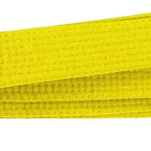 Professional Karate Belts Factory Rate Summer Hot Sale 2026 New Design Spandex/Polyester <b>Light</b> Weight Martial Wear <b>Cheap</b> Price - Product Image 6
