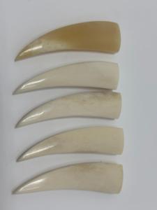 Colgantes de Hueso Natural Pulidos a Mano con Forma de Cuerno para Joyería Tribal, Accesorios DIY para Collares - Product Image 3