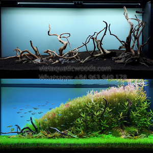 Ornement aquatique en bois flotté naturel pour reptiles et aquariums, décoration en bois classique, écologique, fabriqué au Vietnam - Product Image 5