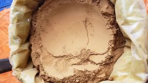 ผงซินนามอนเมล็ดพืชสมุนไพรเดี่ยวจากเวียดนามได้รับการรับรองมาตรฐาน ISO แบบใหม่ - Product Image 3