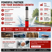Pompe submersible DC pour puits profond domestique 500W, hauteur de refoulement max. 60m, 3-6MPa, en acier inoxydable, OEM, écoénergétique avec impeller à six étages