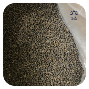 Graines de papaye séchées, nettoyées, de qualité alimentaire, produit d'exportation - Product Image 1