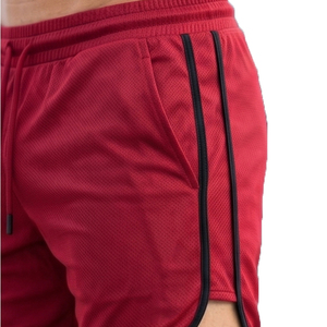 Shorts de plage en mesh pour hommes, shorts de fitness légers en mesh pour hommes, shorts de basket-ball à séchage rapide en mesh pour hommes - Product Image 4