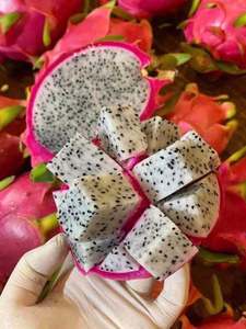 Fruta del Dragón Fresca de Vietnam, Roja y Blanca, Premium, Natural, para Mercados Frescos, Jugos, Postres, Catering y Comercio de Exportación - Product Image 2
