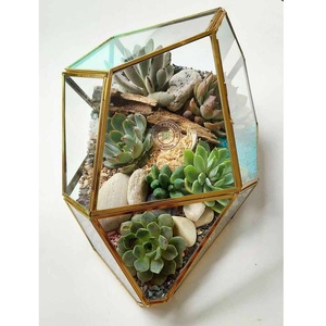 Terrarium décoratif en verre cristal, décoration intérieure multifonctionnelle, art suspendu, vase de table - Product Image 5