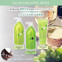 Salon de fabrication japonaise Link Extra Treatment 300ml Chardonnay Scent Wholesale 2025 Repair Silk Protein Curly Amino Cream