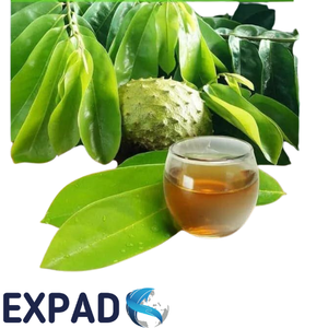 Venta al por mayor de fábrica de hojas de guanábana secas con stock disponible y soporte de exportación - Product Image 1