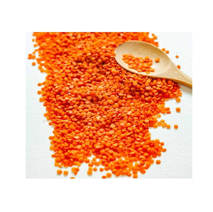 Lentilles Rouges de Qualité Supérieure en Gros, Approvisionnement en Vrac, Qualité Alimentaire Premium, Stock Prêt, Service OEM, Fabricant Exportateur - Product Image 6