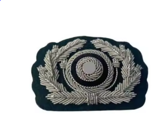 Insignia Bordada a Mano de Alta Calidad para Blazer, Insignia de Ala Personalizada para Uniforme con Pin de Seguridad, Efecto 3D en Relieve, Calidad Premium - Product Image 1