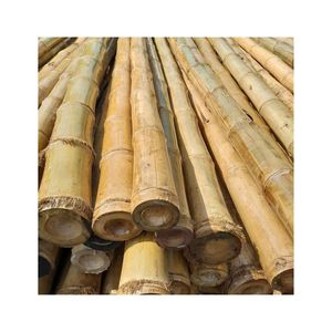 <b>BAMBOO</b> POLES / CANE/ STAKE-Custom Size Pure Natural Dry <b>Bamboo</b> Pole Treated Fumigated <b>Bamboo</b> <b>Sticks</b> for Construction 99GD Kathy - Product Image 1