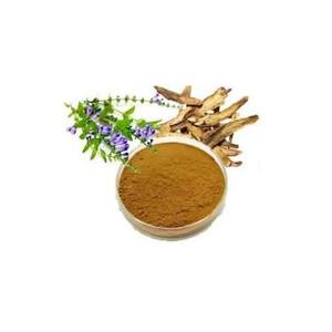Extracto Herbal de Scutellaria Laterifolia (American Skullcap) en Polvo, Grado Alimenticio, Suplemento, Empaque en Tambor/Lata - Product Image 1