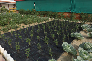 Toile de paillage agricole stabilisée aux UV pour la lutte contre les adventices, idéale pour les pépinières et l'aménagement paysager - Product Image 2