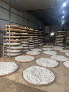 Capullos de seda natural premium de Vietnam |   Suministro a Granel para la Industria Textil y de Cuidado de la Piel - Product Image 5