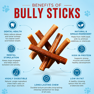 Premium Organic Beef Bully Sticks Dogs Natural High <b>Protein</b> Chew Supporting Dental Care Joint Bone Support OEM ODM Customized - Product Image 6