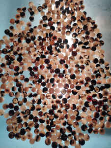 Fashionable Natural Buffalo Horn <b>Button</b> Blanks for Jeans Jacket Coat Clothing Suits From Falak World Export - Product Image 3