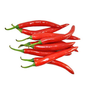Chiles Rojos Enteros sin Tallo Congelados IQF de Primera Calidad, Suministro a Granel para la Industria Alimentaria, Comercio Minorista y Mercados de Exportación - Product Image 1