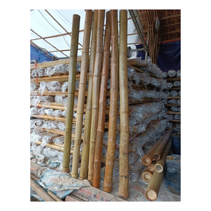 Bamboo Pole Premium Environmental <b>Timber</b> For Vegetable Farming Stakes And Traditional Furniture Making Manufactured In Vietnam - Product Image 1
