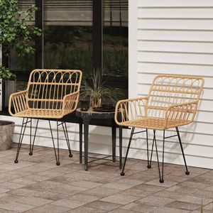 Juego de 2 Sillas de Jardín de Acero Marrón y Ratán de Polietileno, Tamaño Mediano - Product Image 1