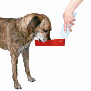 700 ml Travel Water <b>Bottle</b> for Pets <b>Dog</b> on Tour Product Category Pet Carriers - Product Image 5