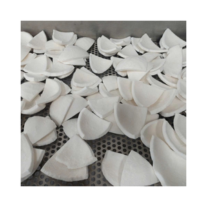 Frozen IQF <b>Coconut</b> Meat White Pieces Shred Bulk Vacuum Pack with 24 Months Shelf Life for Dessert Beverage and Food Processing - Product Image 4