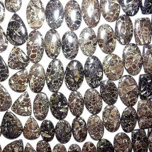 Offre Spéciale : Cabochon en Agate Turritella Naturelle, Pierre Précieuse Non Montée pour la Fabrication de Bijoux (Bague, Pendentif, Boucles d'Oreilles) – En Vente - Product Image 2