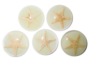 Starfish Real Specimen Plastic Cabochon Round 38x38 mm Glow Flat Bottom for Crafts and Jewelry Making - Product Image 5