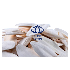 NUEVO Hueso de Sepia Ecológico Premium, Fuente Natural de Calcio para Jaulas de Aves, Suministros para Mascotas y Exportación al por Mayor - Product Image 1