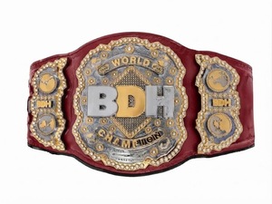 Ceinture de championnat de lutte personnalisée, plaque métallique or et argent, logo personnalisé, ceinture de titre, équipement sportif, ceinture de championnat sur mesure - Product Image 3
