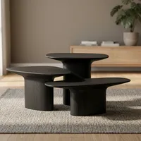 Ensemble de tables basses modernes en bois massif avec design sculptural minimaliste, tables d'appoint gigognes faites à la main pour la décoration du salon et de la chambre