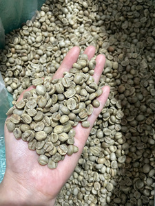 Café Robusta en Gros Prix de Gros Grains de Café Grade 1 FAQ Nouvelle Récolte Fournisseur Vietnamien - Product Image 4