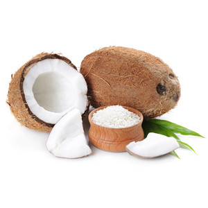 Natural Desiccated Coconut for Energy Bars, <b>Protein</b> Bars & Healthy Snacks - Product Image 3