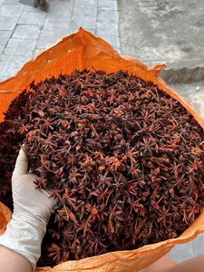 Suministro de Fábrica: Anís Estrellado Entero Seco de Vietnam, Bolsa de 14 oz, Especia Premium para Pho - Product Image 1