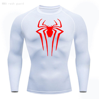 Herenshirt, grijs, lange mouwen, O-hals, compressie shirt met spinnenlogo, sneldrogend, slim fit, sportief design, gebreid polyester