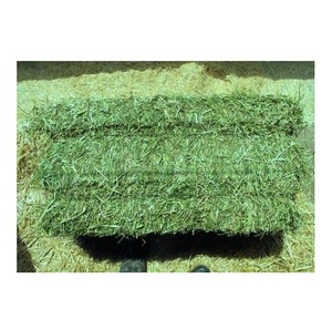 Heno de Alfalfa Orgánico Premium / Heno de Pasto Rhode / Heno de Timothy, Alimento para Animales en Venta - Product Image 2