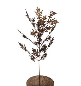 Décorations de jardin modernes en fer forgé pour extérieur, allées et chemins |   Jardin et vie en plein air, finition antique, taille personnalisée - Product Image 5