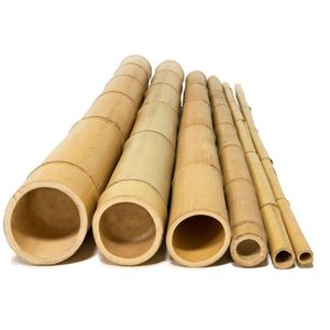 Estacas de Bambú de Alta Calidad, Precio Económico al por Mayor, Postes Rectos Resistentes y Duraderos, Suministro a Granel de Fábrica Premium VIP - Product Image 1