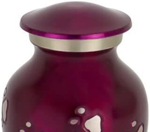 Urnas de Cremación para Mascotas de Acero Inoxidable de Alta Calidad, Modernas, de Lujo y Ecológicas para Guardar Cenizas de Perros, Venta al Por Mayor - Product Image 3