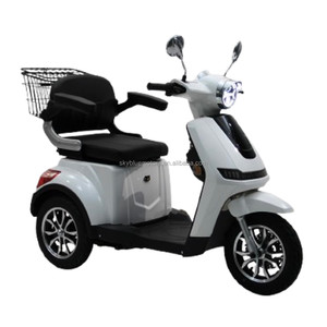 Scooter électrique tout-terrain à 3 roues, autonomie de 60 km, 1000 W, batterie au plomb-acide 20 Ah, contrôle par application, suspension intégrale pour - Product Image 2