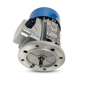 Motor de Inducción de 0.25 HP, 8 Polos, 3 Fases, Montaje con Brida, 720 RPM, 50/60 Hz - Product Image 3