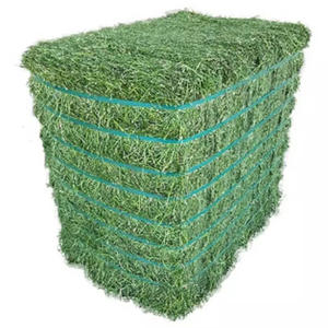 Heno de Alfalfa para Conejos y Cobayas, Heno de Pasto Alto en Fibra, Ofertas de Compra al por Mayor para el Mercado Mayorista - Product Image 6