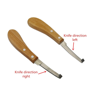 Cuchillo Quirúrgico Ortopédico Reutilizable de Acero Inoxidable para Pezuñas de Caballo, Hojas de Doble Filo, para Mano Derecha e Izquierda, Grado A+, Precio Económico, OEM - Product Image 5