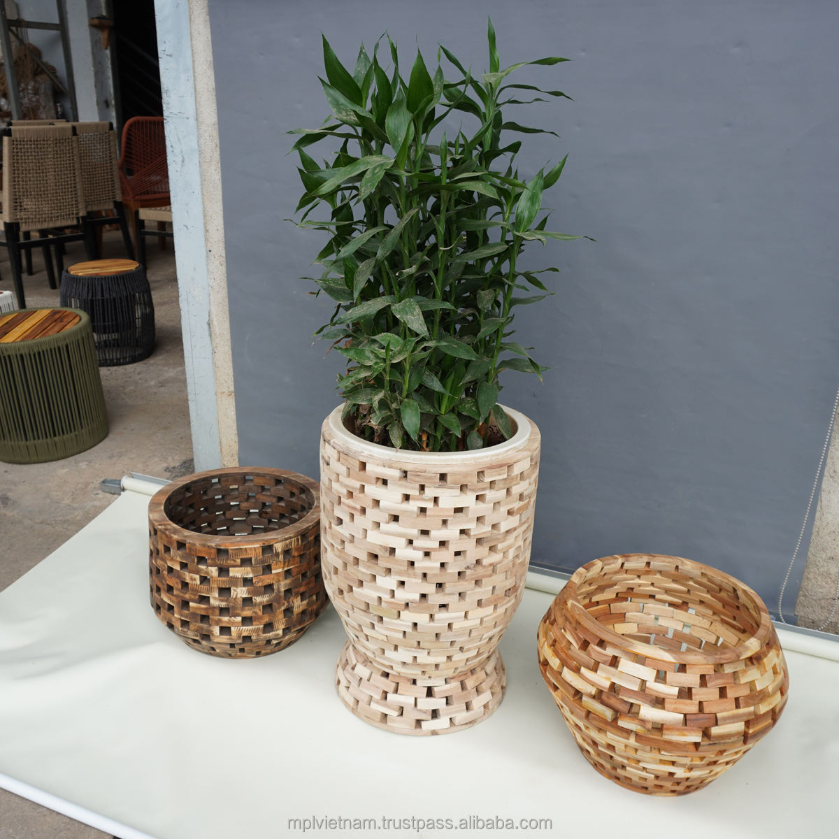 ธรรมชาติ