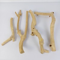 Nouveautés 2026 : Support d'activités en bois de café (bois de Java) pour oiseaux, accessoires pour perroquets, vente en gros, du fabricant vietnamien