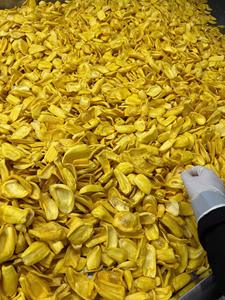 Jacquifruit Deshidratado VF: Snack de Fruta Vietnamita Crujiente, Chips de Jacquifruit Deshidratados Crujientes: Snack de Fruta Vietnamita - Product Image 2