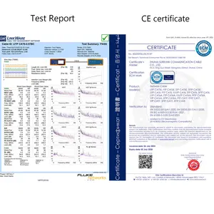 Cable de red de 20 años pasa la prueba de fábrica 305m cada rollo o caja de extracción cable LAN FTP CAT6