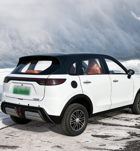 Venta al por Mayor de Fábrica, SUV Eléctrico de Lujo con Certificación EEC, Batería de Litio, 4x4, Baja Velocidad, Autonomía de 101-200 km, 50kW - Product Image 2
