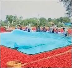 Bâche de sécurité pour échafaudage en HDPE 180 GSM - Product Image 5