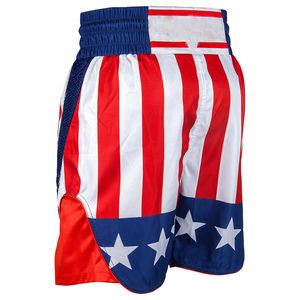 Short de combat personnalisé imprimé par sublimation, short de boxe MMA pour hommes, design personnalisé Pakistan, prix de gros OEM - Product Image 4