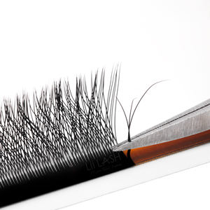 Pestañas W Lashes Clover Fan, abanicos de volumen prefabricados, hechos a mano, color negro intenso, pestañas esponjosas, venta al por mayor, logotipo personalizado - Product Image 5