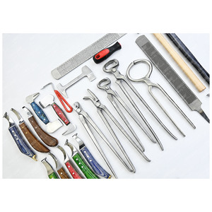 Herramientas para herrar caballos, herramientas para el cuidado de zapatos, extractor de uñas, cuchillos para herrar, cortador de herradura, amortiguador de martillo de herradura - Product Image 5